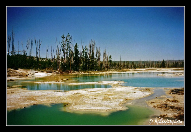 Yellowstone NP